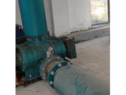 章丘豐源FSR250G羅茨風機在惠州市廣豐農(nóng)牧運行成功！